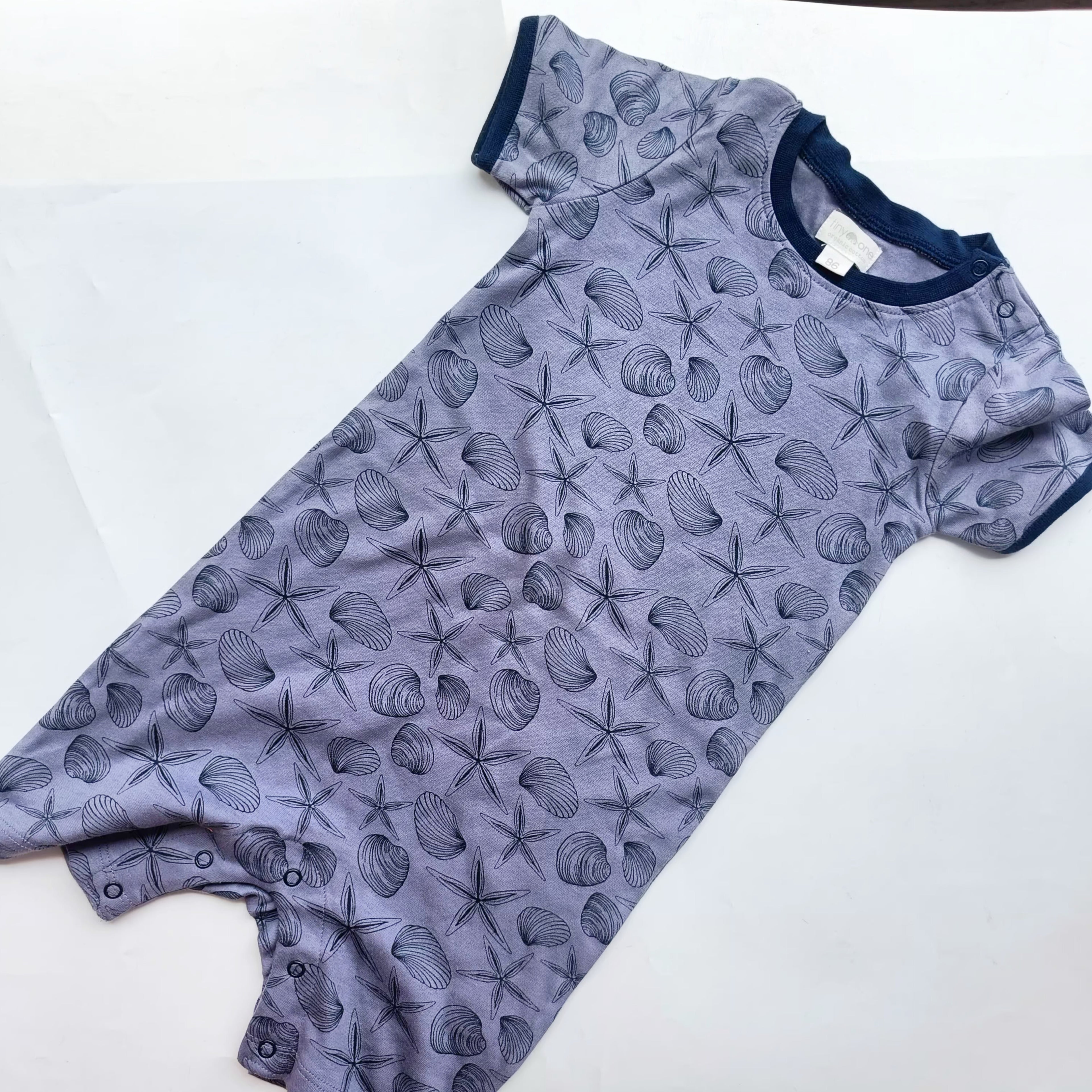 Seashell 18-24m