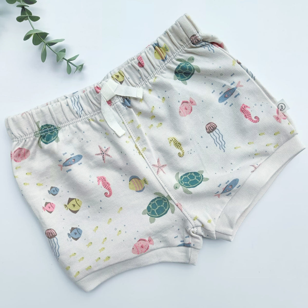 Carters shorts