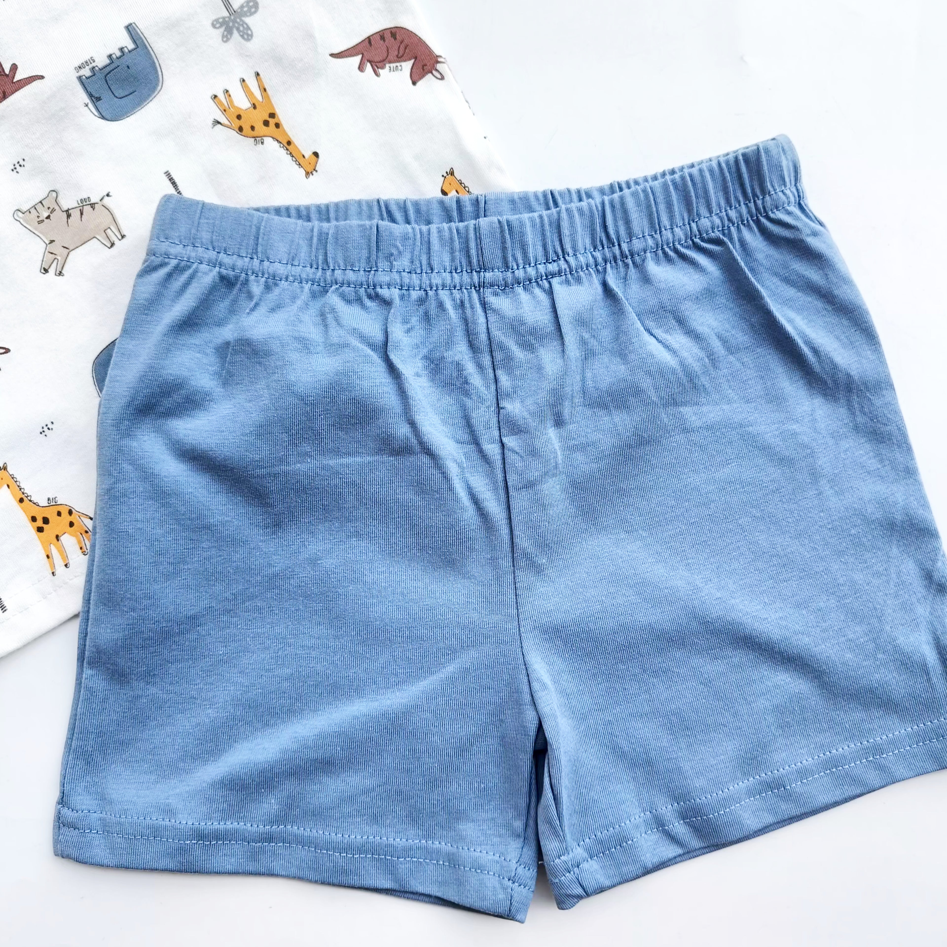 Boys Shorts set