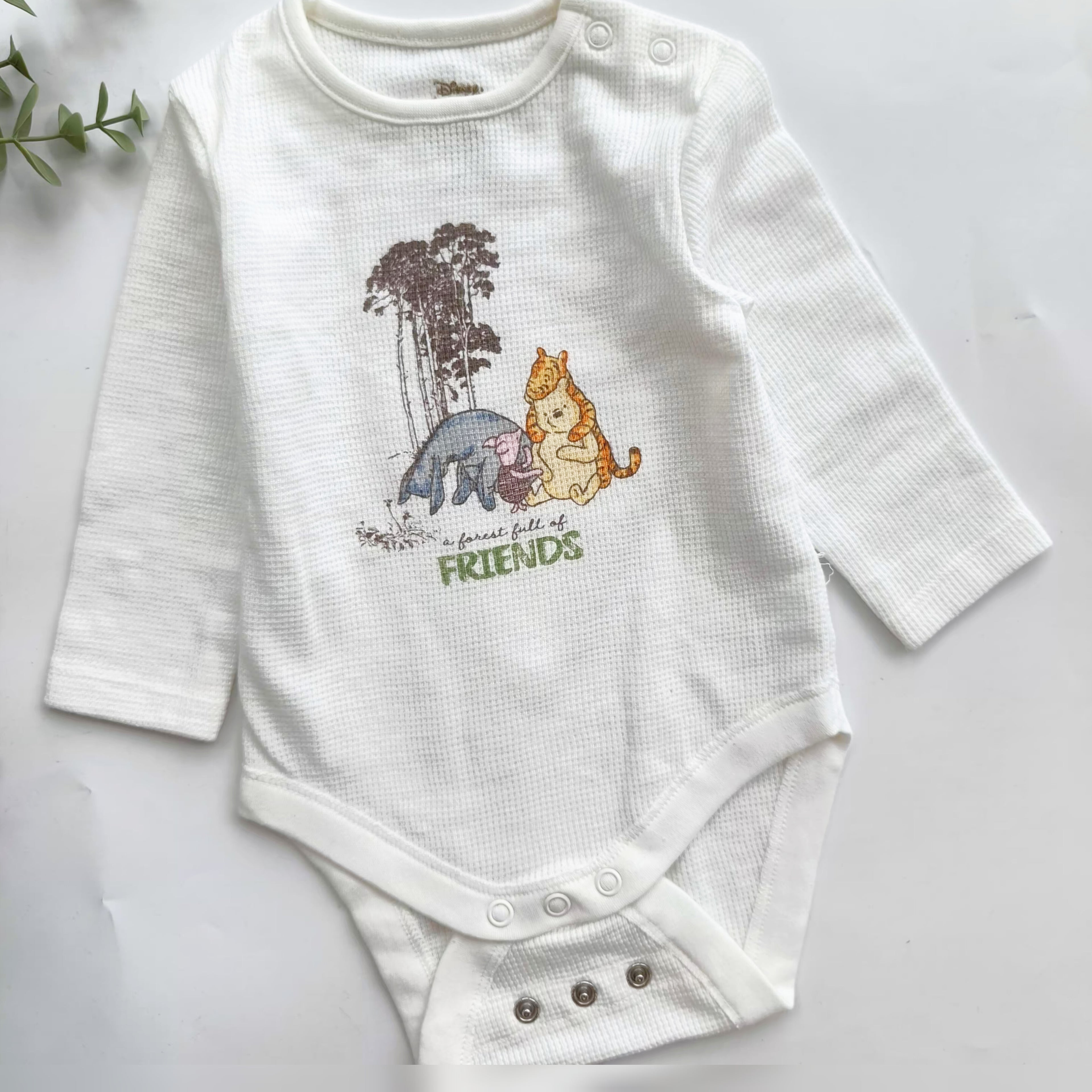Winnie & friends onesies