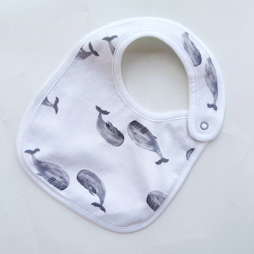 Waterproof bibs- Carters